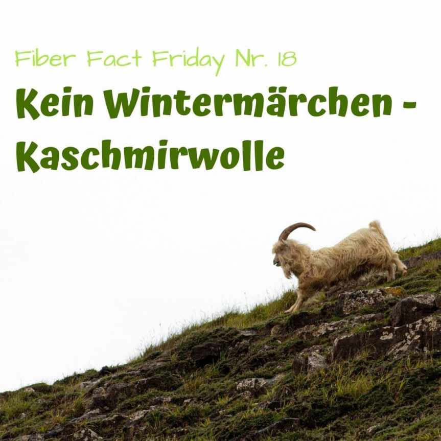 Fiber Fact Friday Nr. 18: Kein Wintermärchen – Kaschmirwolle